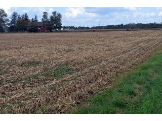 Property photo 21 - EHLE FARMS AUCTION - 118+/- ACRES IN 9 TRACTS IN ALLEN COUNTY, INDIANA